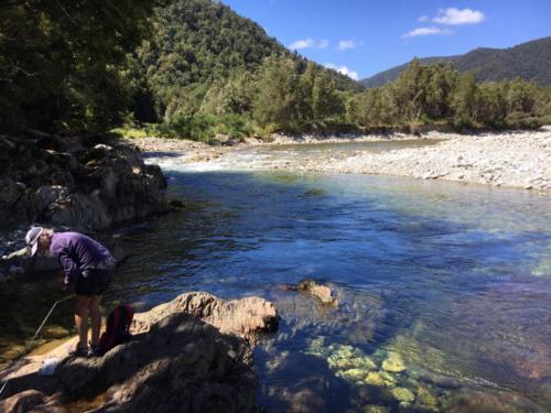 Reefton