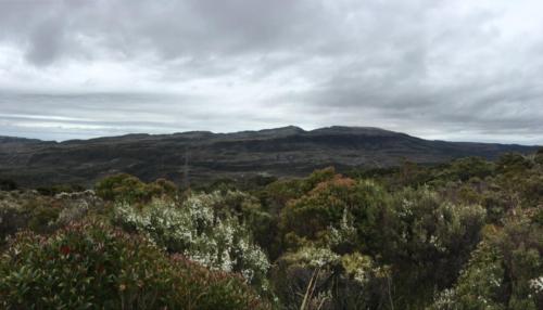 William Range Track