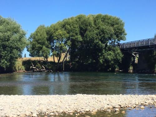 Motueka / Tasman / Motueka River / New Zealand - 1/5/19